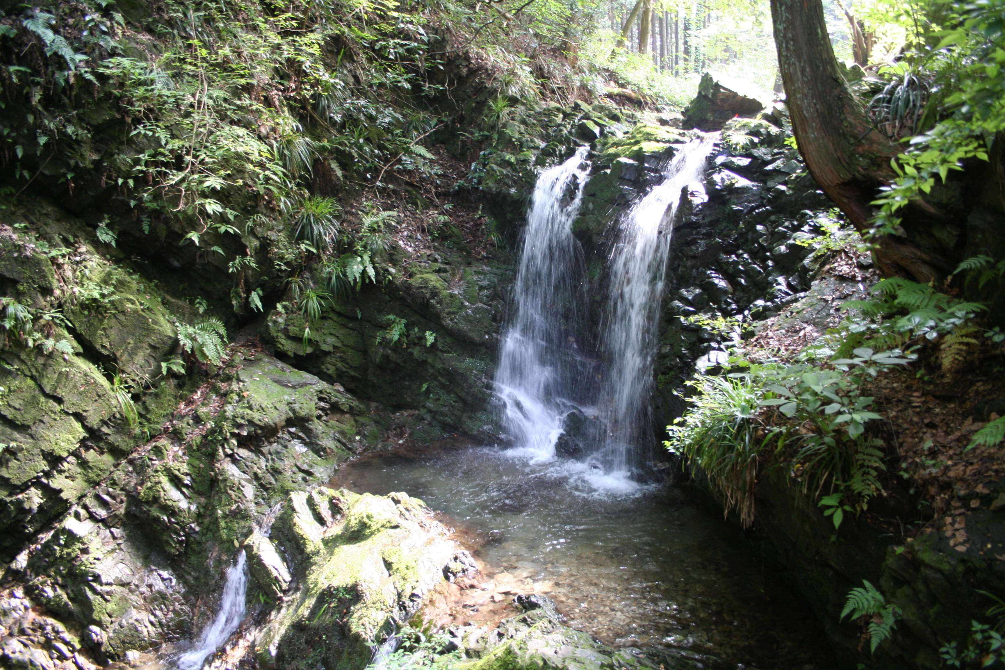 🏯 하치오지 성터 (八王子城跡) 이미지 2